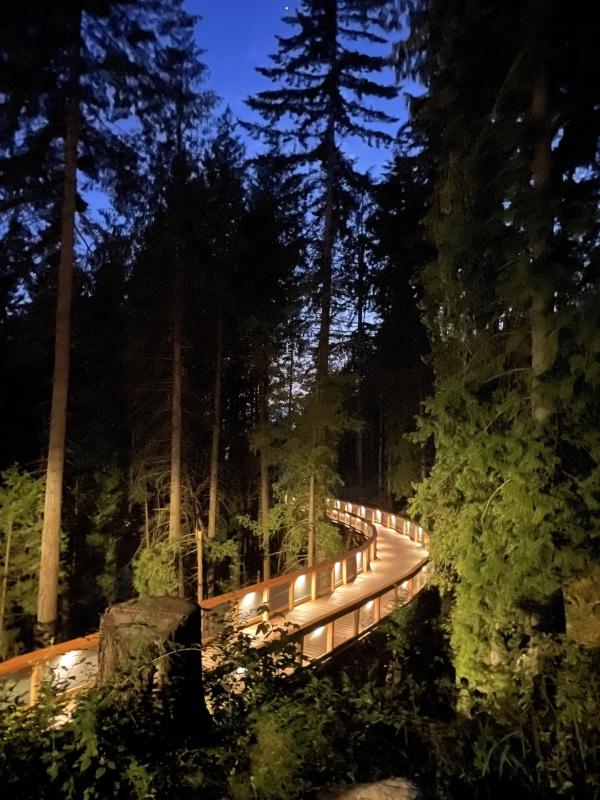 Trestle bridge